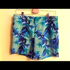 Shorts by Banana Republic